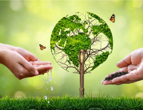 🌍 Benvinguda al curs 2025-2026: Junts i juntes per cuidar el nostre planeta